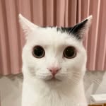 Charles_Alt - @granparre_2 - Instagram