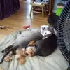 Charles Anspach - @charles.anspach - TikTok