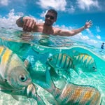 Charles Araujo - @charles.araujo.1675 - Instagram