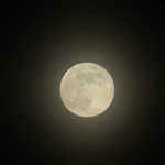 Charles Arena - @arena.charles - Instagram