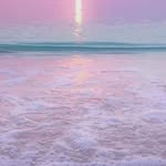 Wendy Ashdown - @wendycharlesashdown - Instagram