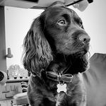 Charlie Ashwell - @charles_ashwell - Instagram