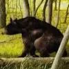 Charles Atherton - @charles.atherton - TikTok