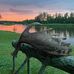 Charles Aucoin - Facebook