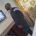 Charles Augustine - Facebook