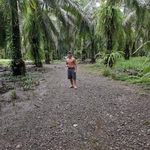 Charles Aviles - @charles_aviles - Instagram