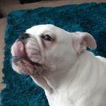 backup channle! - @charles_back_up_channle - Instagram