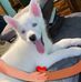 Charlie Back - Facebook