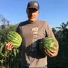 Charles Barany - @charles.barany_ - TikTok