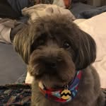Charles Barnaby Rush - @charlesbaranbyrush - Instagram