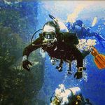 Charles Barden - @ninjastuntmonkey - Instagram