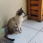 Charles Barrios - @charles__barrios - Instagram