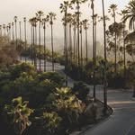 Charles Baumann - @baumann3782 - Instagram