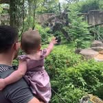 Justin Charles Unser-Baumann - @ubdanubb - Instagram