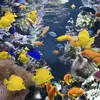 Charles Begue - @charles.begue - TikTok
