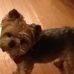 Chuck Bellinger - Facebook