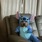 Charles Benedict - @charlesbenedictsilao - Instagram