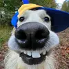 charlesberger1c5ffc - @charlesberger1c5ffc - TikTok