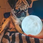 Charles Bethke - @pogszeneto - Instagram