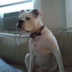 charles Biggs - @biggs.mr.biggs - Instagram