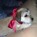 Charles Blanton - Facebook