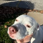 Ray Blanton - @charles_blanton_ - Instagram