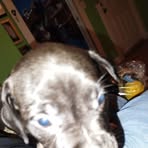 Charles Blevins - Facebook