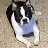 Charles Bliss - @cbliss5834 - TikTok