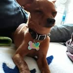 Charles Bliss - @charlesbliss53 - Instagram