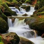 Charles Bobo - @charles.bobo - Instagram