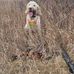 Charles Bomar - Facebook