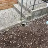 Charles Bonner - @charles.bonner3 - TikTok