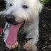 Charlie Botkin - Facebook