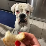 Charles Boudreau - @charlesboudreau1 - Instagram