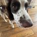 Charles Boyes - Facebook