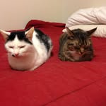 Charles Brackett - @muchspace63 - Instagram