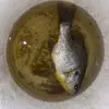 Charles Brann231 - @charlesbrann231 - TikTok