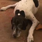 CharlesBroach - @charlesbroach70 - Instagram
