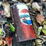 Charles Bromberg - @charlesbromberg - Instagram