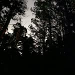 Charles Bruns - @bruns4819 - Instagram
