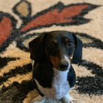 Charles Bruns - @cbrunsb - Instagram