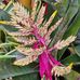 Charles Bubb - Facebook