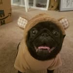 Charles Maximus Bubbie - @charles_bubbie - Instagram