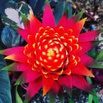 Charles Burge - @blue_dragon8591 - Instagram