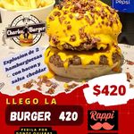CHARLES BURGER - @charlesburgeruruguay - Instagram