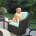 Charlie Burris - @charlie.burris - Instagram