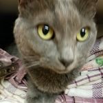 Charles Burroughs - @echonbuddy - Instagram