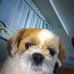 Charlie Camden - Facebook