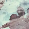 Charles Cantrell - @chawws - TikTok