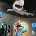 Charles C - @charles.carlin.77 - Instagram